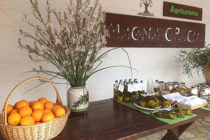 Katakolon 7hour tour : Olympia-Honey Farm-Winery-Beach - Ancient Olympia in 60 minutes: Zeus, Hera, and the Olympic myth
