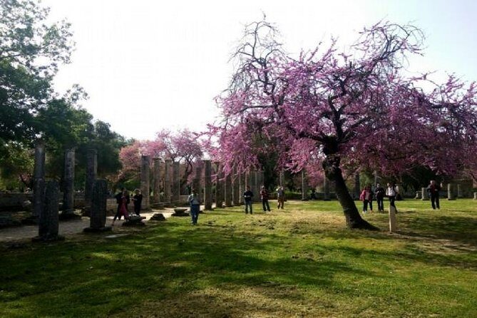 Katakolon Shore Ex: Skip-the-Lines Ancient Olympia & Olive market - Ancient Olympia ruins: running the track and seeing Zeus up close