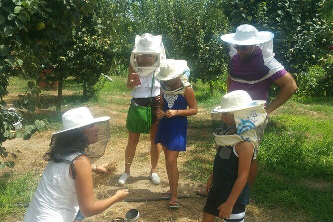 Katakolon Small Group Tour: Olympic site, Honey/Olive Oil Tasting - Value and Who This Tour Fits Best