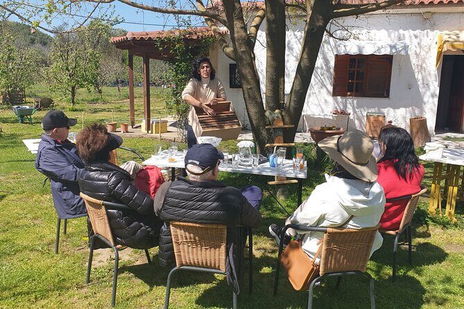 Katakolon Small Group Tour: Olympic site, Honey/Olive Oil Tasting - Should You Book This Katakolon Olympia and Honey Tour?