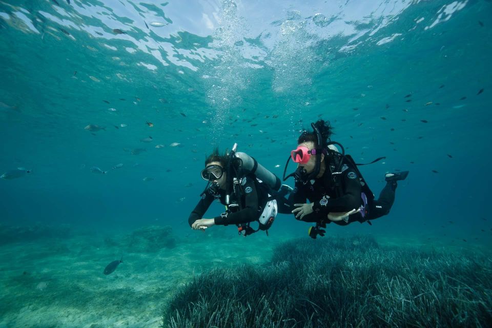 Kefalonia: Beginner Scuba Diving at Agia Efimia Village - Kefalonia beginner scuba diving: key points