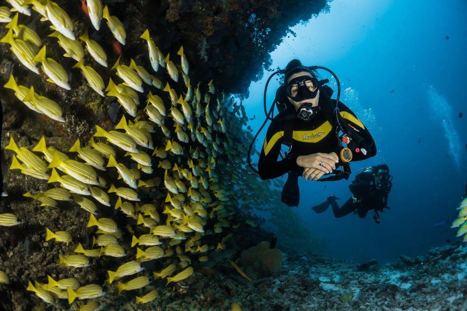Kefalonia: Beginner Scuba Diving at Agia Efimia Village - The boat ride and about an hour at sea