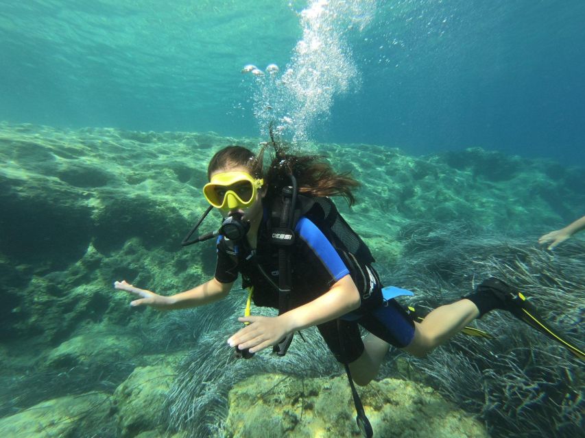 Kefalonia: Beginner Scuba Diving at Agia Efimia Village - What you may see below the surface
