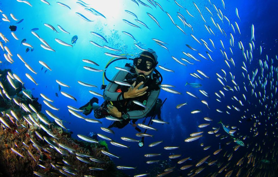 Kefalonia: Beginner Scuba Diving at Agia Efimia Village - Why the four-person group makes a difference