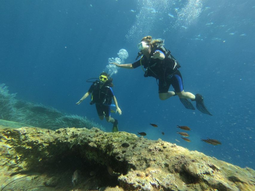 Kefalonia: Beginner Scuba Diving at Agia Efimia Village - Health rules and the 24-hour flight gap