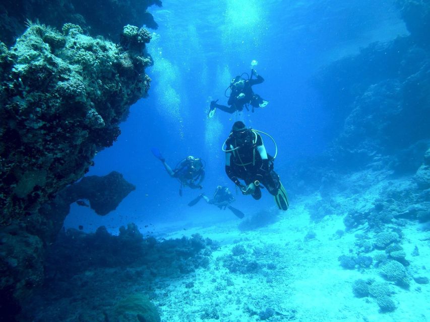 Kefalonia: Beginner Scuba Diving at Agia Efimia Village - Who will enjoy this experience most?