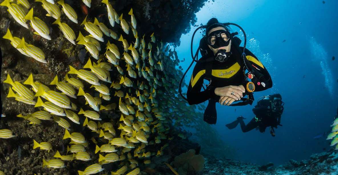 Kefalonia: Beginner Scuba Diving at Agia Efimia Village - Getting comfortable with the equipment