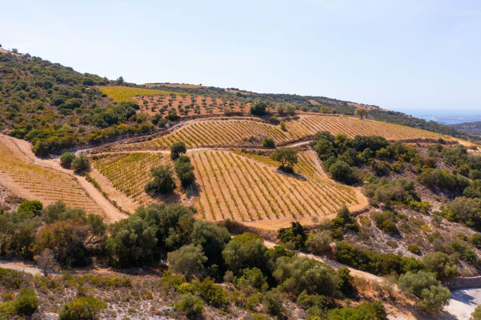 Kefalonia Highlights Robola Winery, Melissani & Fiscardo - Should you book it?