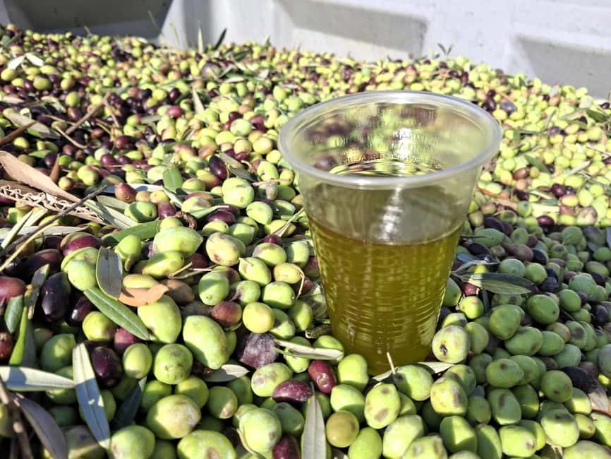 Kefalonia:Private Olive Oil, Honey & Wine Tasting Experience - Michalatos Honey Farm and the work behind each jar