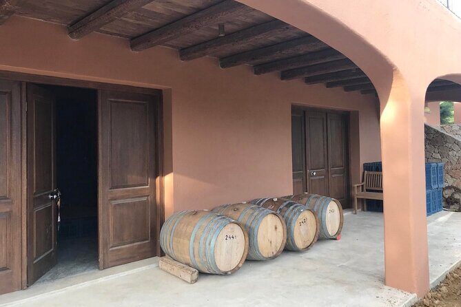Kefalonia: Private Olive Oil, Honey & Wine Tasting Experience - Stop 1 at Liocharis Olive Oil (Marina’s Oil Mill): learning extra virgin the useful way