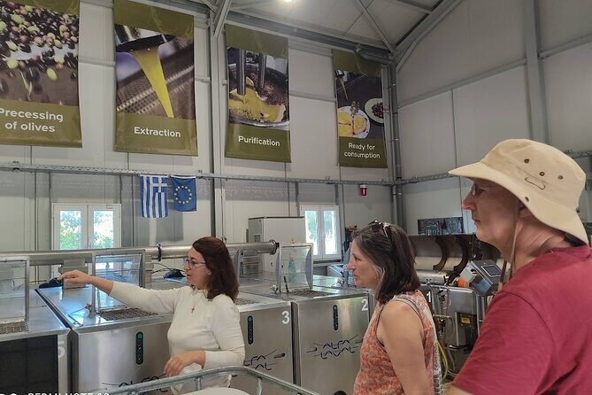 Kefalonia: Private Olive Oil, Honey & Wine Tasting Experience - Stop 3 at Sarris Winery: wine tasting with cheeses, Greek snacks, and sea views