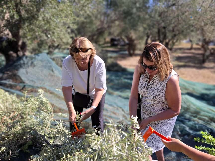 Kefalonia:Private Olive Oil, Honey & Wine Tasting Experience - Who will enjoy this most