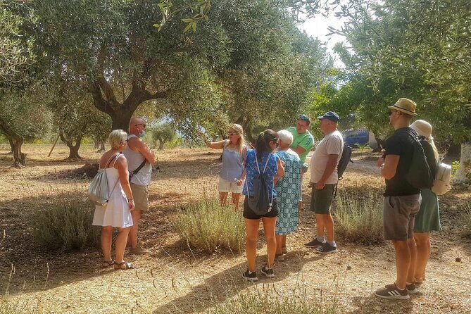 Kefalonia: Private Olive Oil, Honey & Wine Tasting Experience - What a private tour feels like with Dimitris and the producer hosts