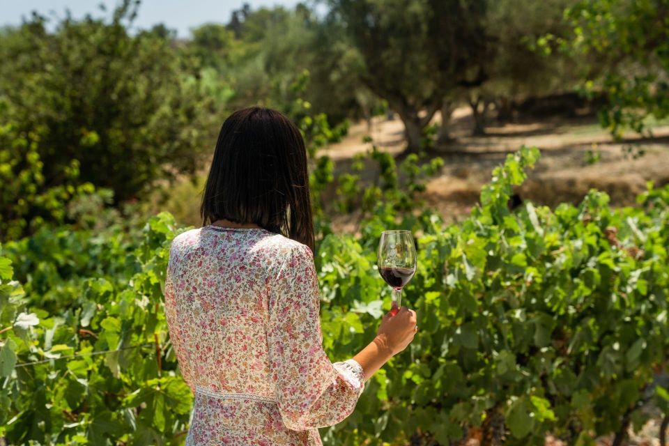 Kefalonia Wine Adventure with 18 Wine Tastings in 3 Wineries - Key points at a glance