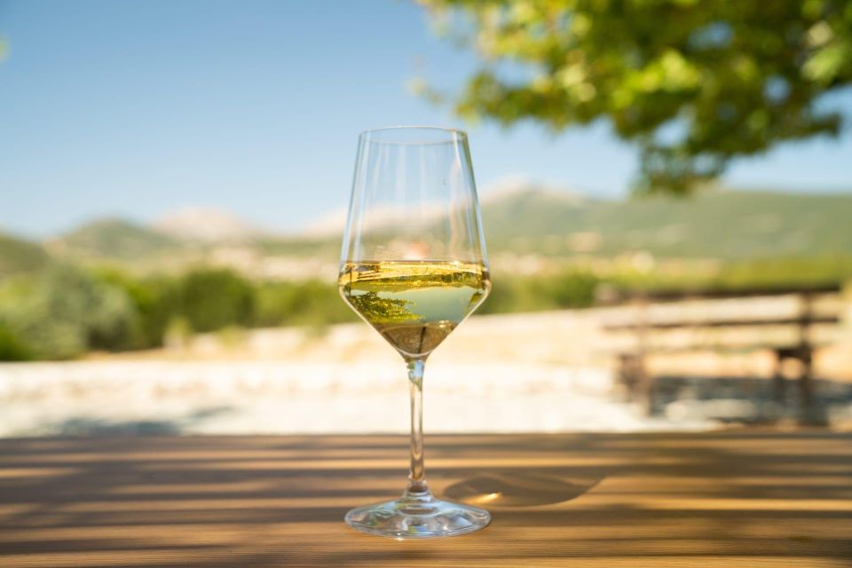 Kefalonia Wine Adventure with 18 Wine Tastings in 3 Wineries - Who should book this wine tour?