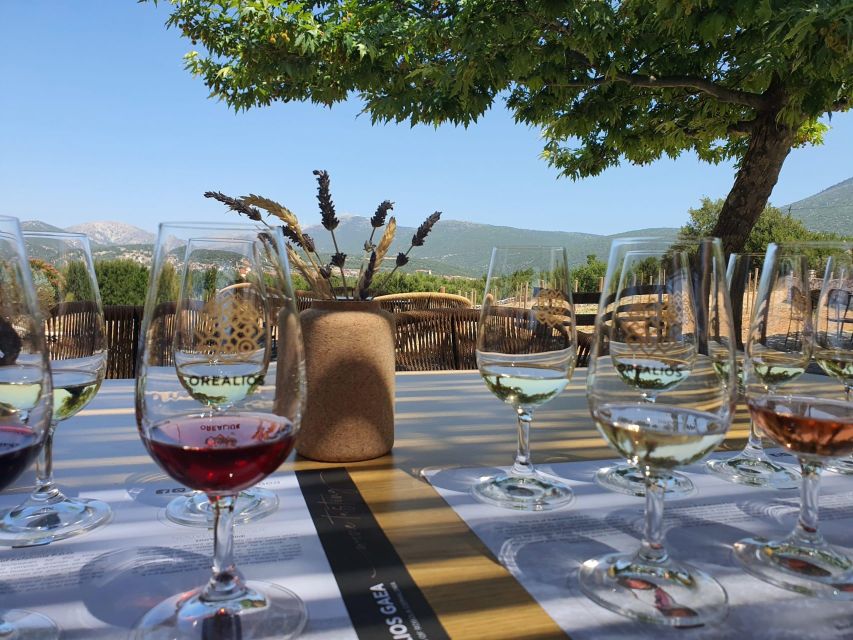 Kefalonia Wine Adventure with 18 Wine Tastings in 3 Wineries - Why Kefalonia wine is worth your morning