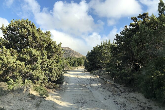 KGS02.Off the Beaten Track Tour in Kefalos & Cavo Paradiso - Why this Kefalos tour feels different from a standard Kos outing