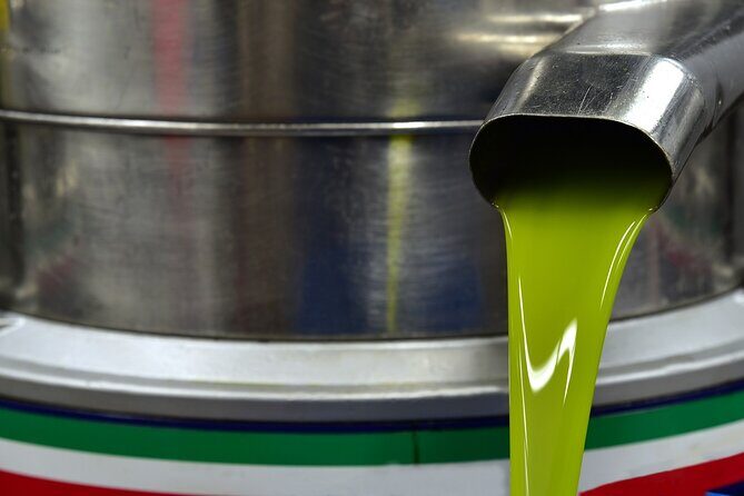 Kleanthi Olive Farm: Guided Tour with Local Delicacies Tasting - Walking the olive groves like a lesson you can smell