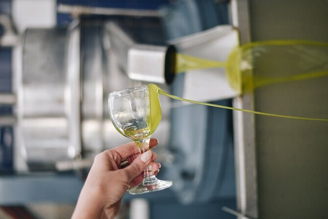 Kleanthi Olive Farm: Guided Tour with Local Delicacies Tasting - Seeing the olive mill: what you get depends on the season