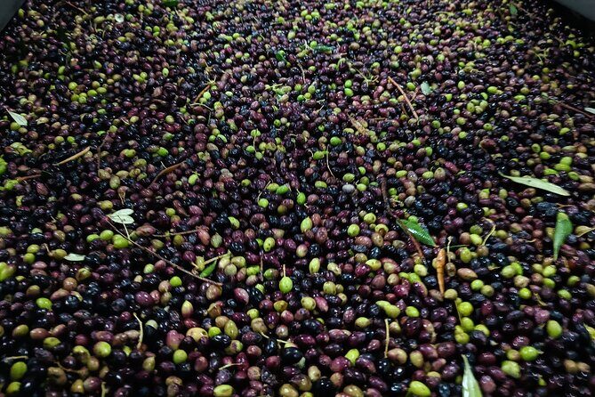 Kleanthi Olive Farm: Guided Tour with Local Delicacies Tasting - Onsite store: buying bottles without the hard sell