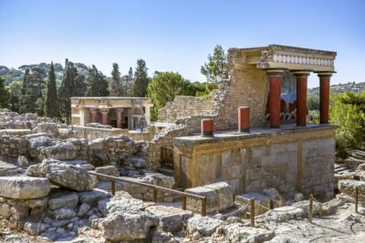 Knossos, Olive Grove, Winery - Distillery with Tastings & Lunch - Olive oil among the trees in Skalani