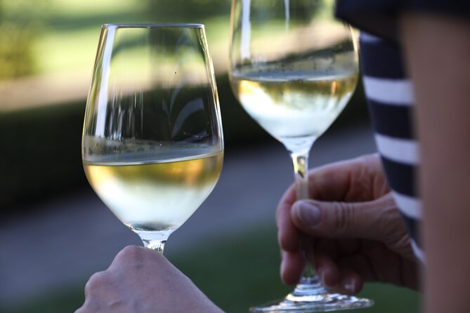 Knossos, Olive Grove, Winery - Distillery with Tastings & Lunch - How the private vehicle changes the day