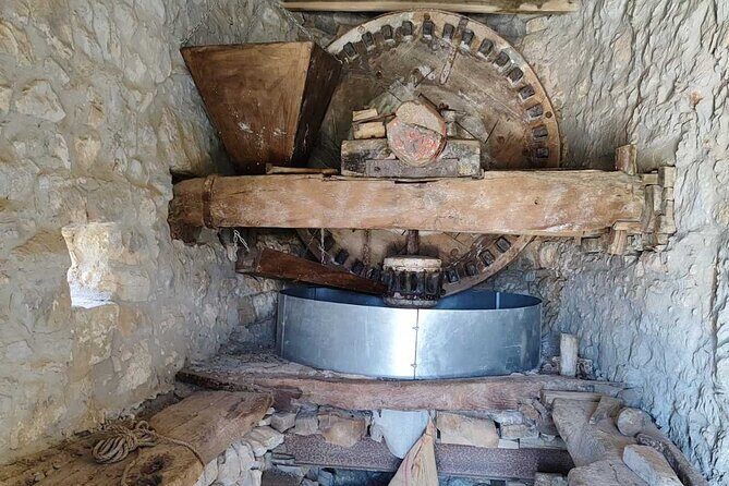 Knossos Palace and/or Zeus Cave + Olive Mill | Local & Private - The 2,400-year-old Platanus Tree: shade, pause, and folklore