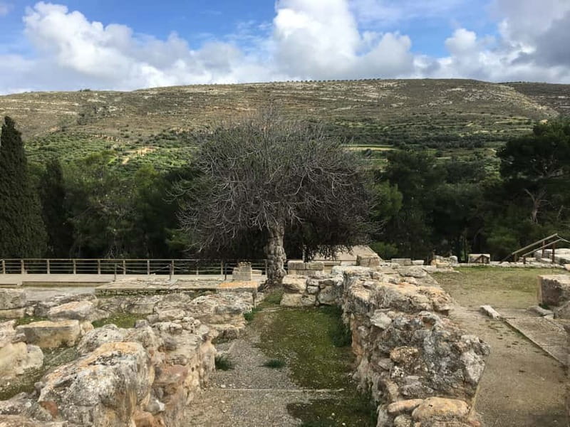 Knossos Palace ( Private tour Skip-The-Line ) - Practical limits and comfort