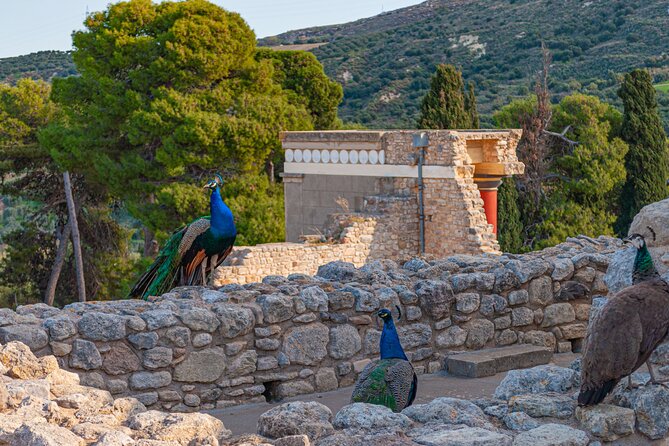 Knossos Palace Private Walking Tour - Royal Apartments and the Queen’s Megaron