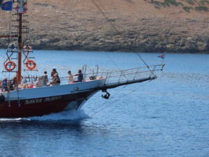 Kos: 3-Island Cruise with Lunch, Swimming and Audio Guide - The phone audio guide: the best way to make stops feel worth it