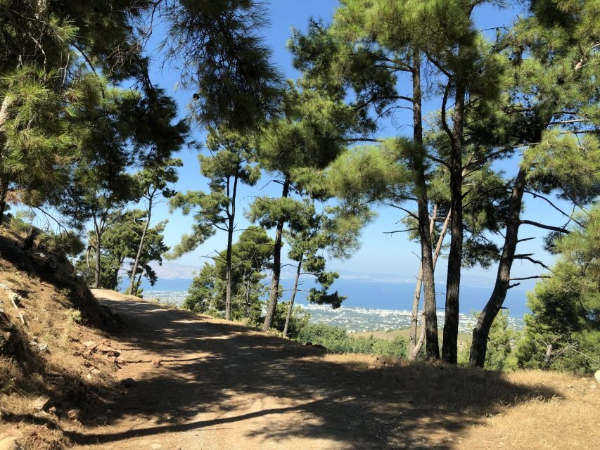 Kos 4x4 Exploration: Panoramic Views, Villages & Flavors - Psalidi Wetlands: an early nature breather and quick scenery win