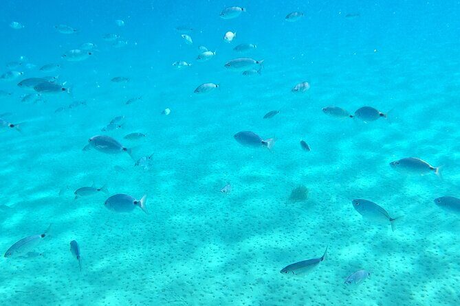 Kos: Catamaran Small Group Full-Day trip with Meal, Drinks, Swim - Who this is perfect for (and who should skip it)