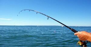 Kos: Fishing Trip Experience with a Greek Fisherman's Family - Meeting at Dolphin Square: What Happens Once You’re On Board