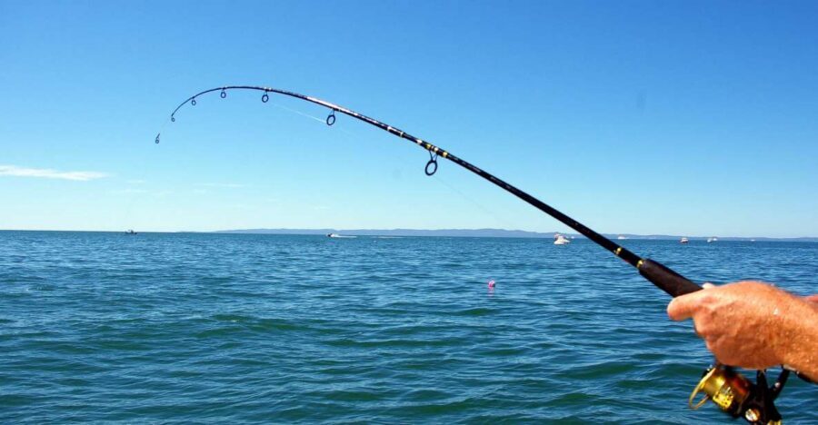 Kos: Fishing Trip Experience with a Greek Fisherman's Family - Meeting at Dolphin Square: What Happens Once You’re On Board