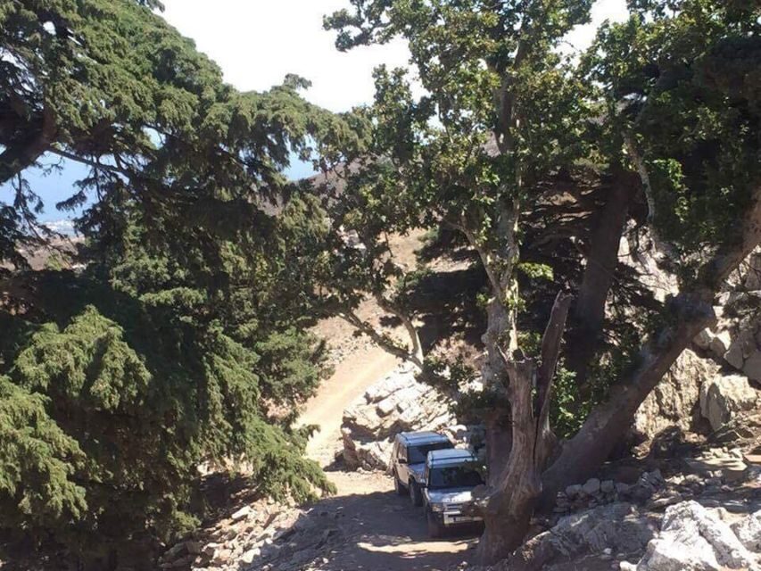 Kos: Full-Day Jeep Safari with Lunch - Who This Jeep Safari Fits Best
