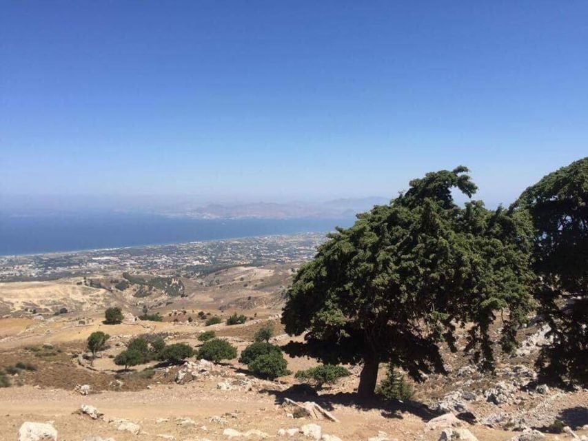 Kos: Full-Day Jeep Safari with Lunch - Turtle Lake and Salt Lake: Nature Stops That Break Up the Driving