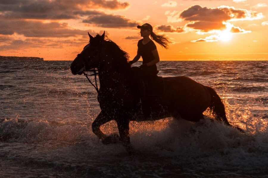 Kos: Horse Riding Experience on the Beach with Instructor - Pickup by Jeep/SUV: The Part That Saves Your Energy
