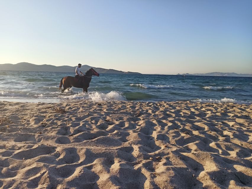 Kos: Horse Riding Experience on the Beach with Instructor - The Real Show: Riding Along the Shoreline (Sand, Water’s Edge, Photos)