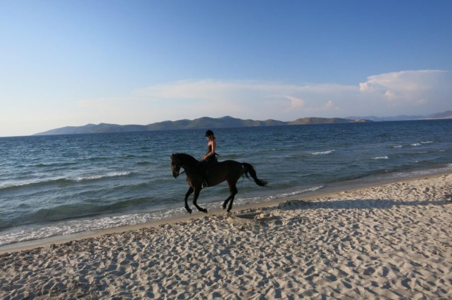 Kos: Horse Riding Experience on the Beach with Instructor - Safety, Horse Temperament, and What the Guide Actually Does