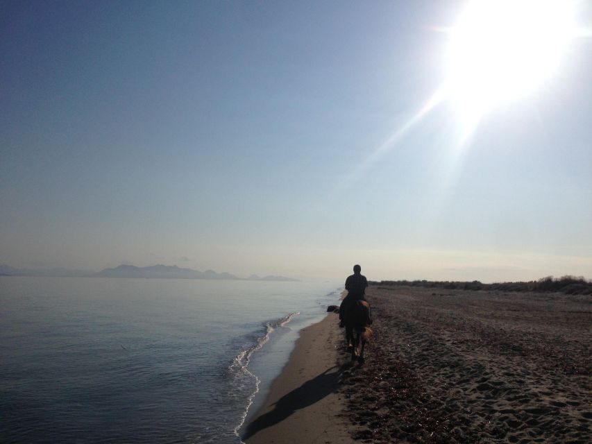 Kos: Horse Riding Experience on the Beach with Instructor - What to Bring (and What Not to Overthink)