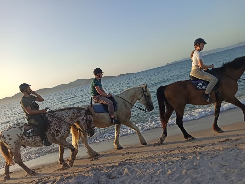 Kos: Horse Riding Experience on the Beach with Instructor - Timing: How 1 Hour Turns into Real Memories