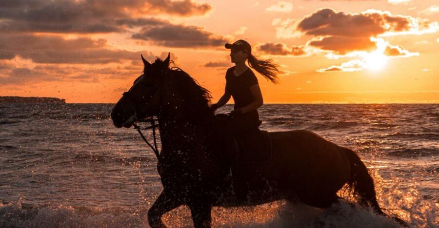 Kos: Horse Riding Experience on the Beach with Instructor - Price and Logistics: Is $88 Good Value?