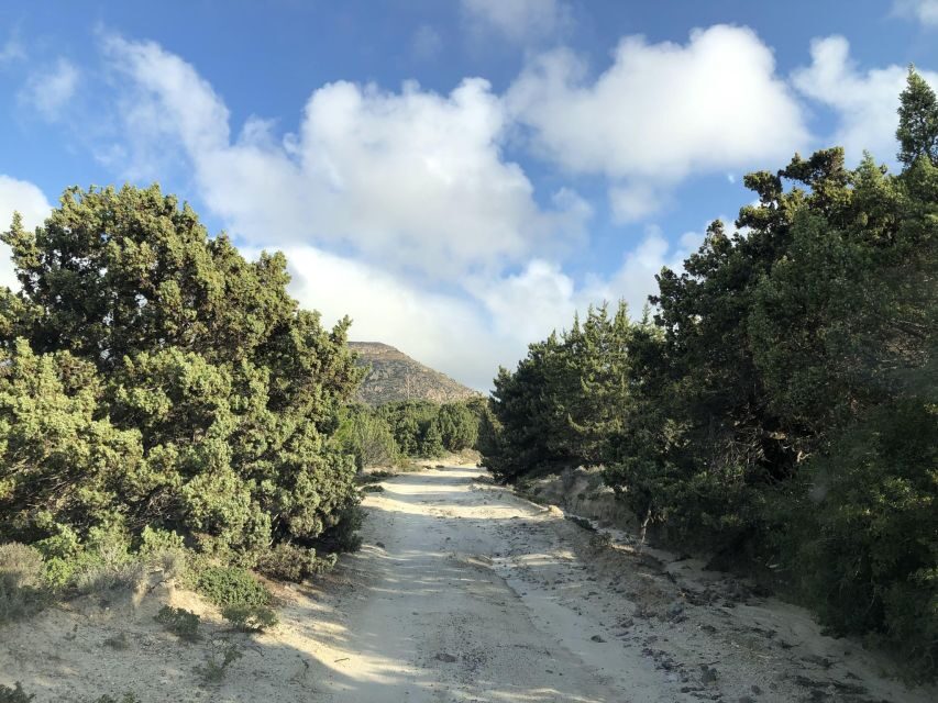 Kos : Off the Beaten Track Tour in Kefalos & Cavo Paradiso - Honey Museum tasting: why this is more than a sweet stop