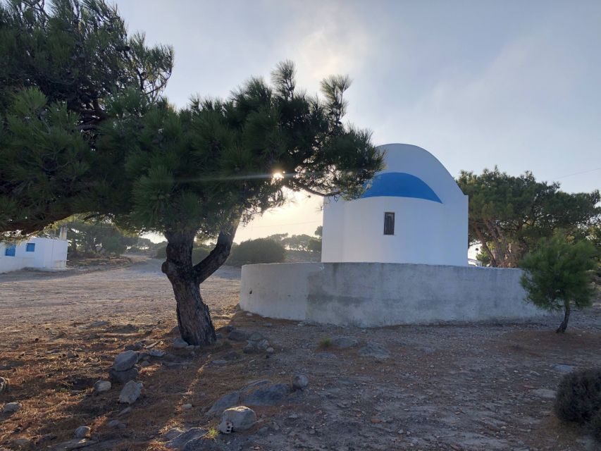 Kos : Off the Beaten Track Tour in Kefalos & Cavo Paradiso - Kefalos lunch by the sea: what you’re really paying for