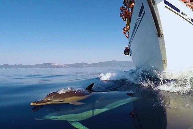 Kos: Small Group Full-Day Sailing with Meal, Drinks, & Swim - Greek lunch onboard: the meal reason to leave shore behind