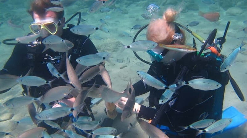 Kos: Try Scuba Diving with a diving boat - The appeal of trying scuba off Kos near Pserimos