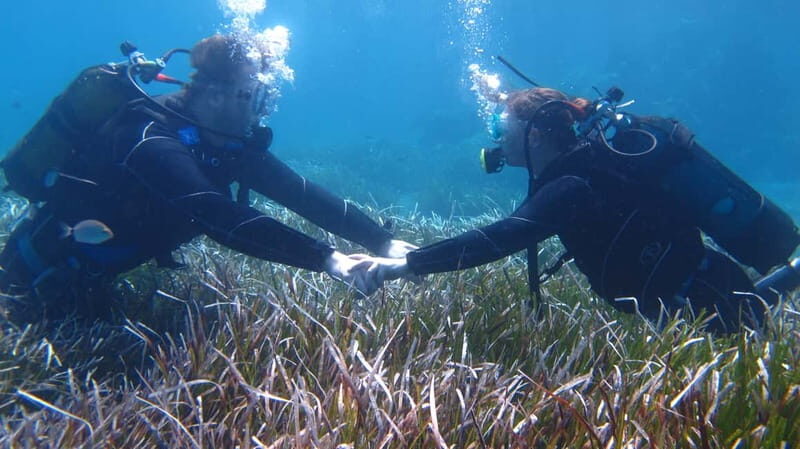 Kos: Try Scuba Diving with a diving boat - The first underwater session: what you actually do