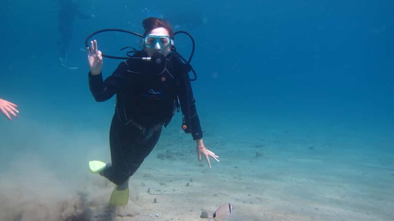 Kos: Try Scuba Diving with a diving boat - Price and value: what $123 gets you, and what costs extra