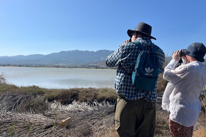 Kos Wildlife Walks: birdwatching and animal photography - Stop 2: Psalidi—keeping your eyes sharp after the salt-lake start