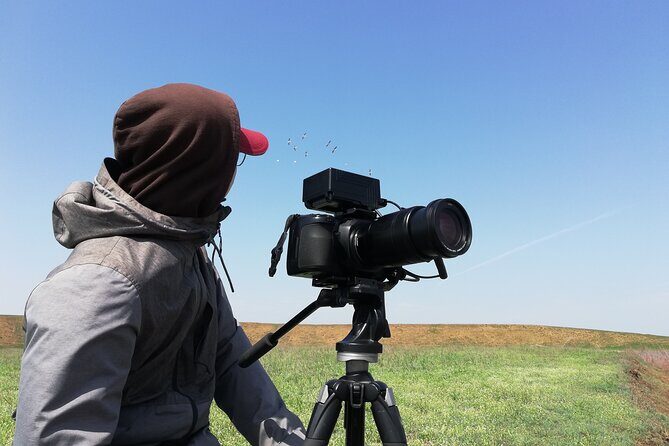 Kos Wildlife Walks: birdwatching and animal photography - Best time to go: avoid Kos’s dry summer slump